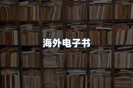 海外电子书
